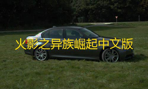 40. 高防服务器租用方案推荐火影之异族崛起中文版